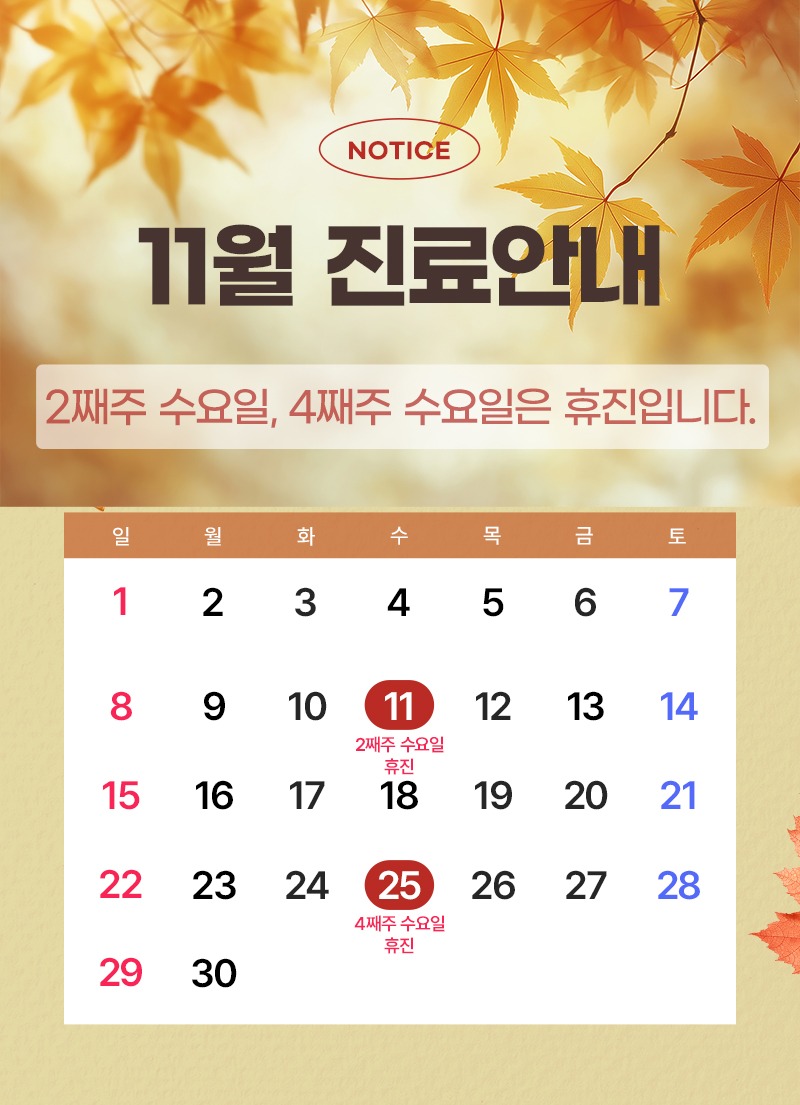 11월진료안내800.jpg
