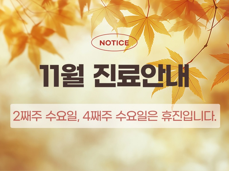 11월진료안내800.jpg
